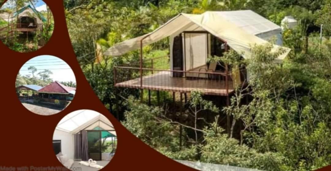 Garza Del Sol Glamping Rio Celeste Buganvilia Exteriör bild