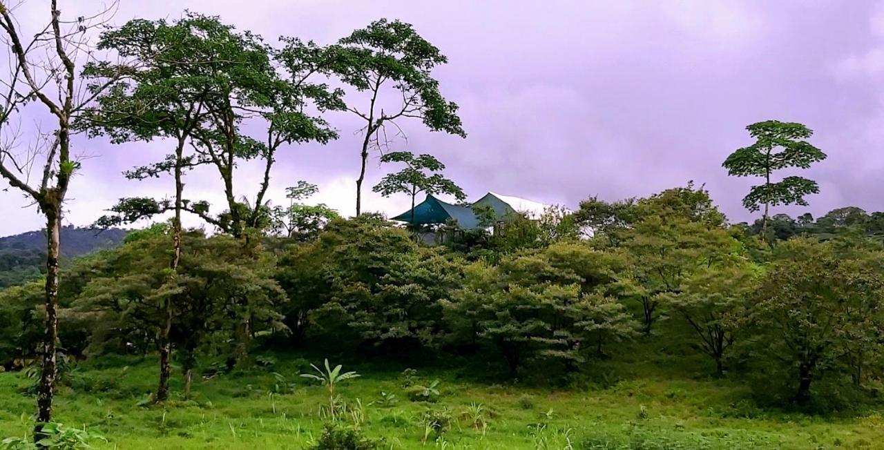 Garza Del Sol Glamping Rio Celeste Buganvilia Exteriör bild