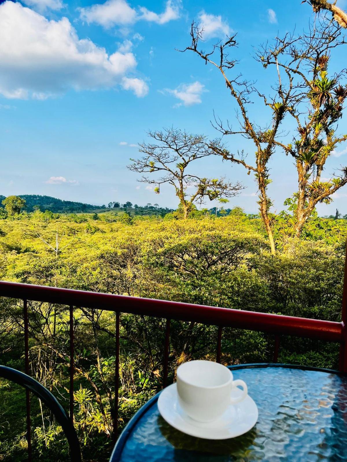 Garza Del Sol Glamping Rio Celeste Buganvilia Exteriör bild