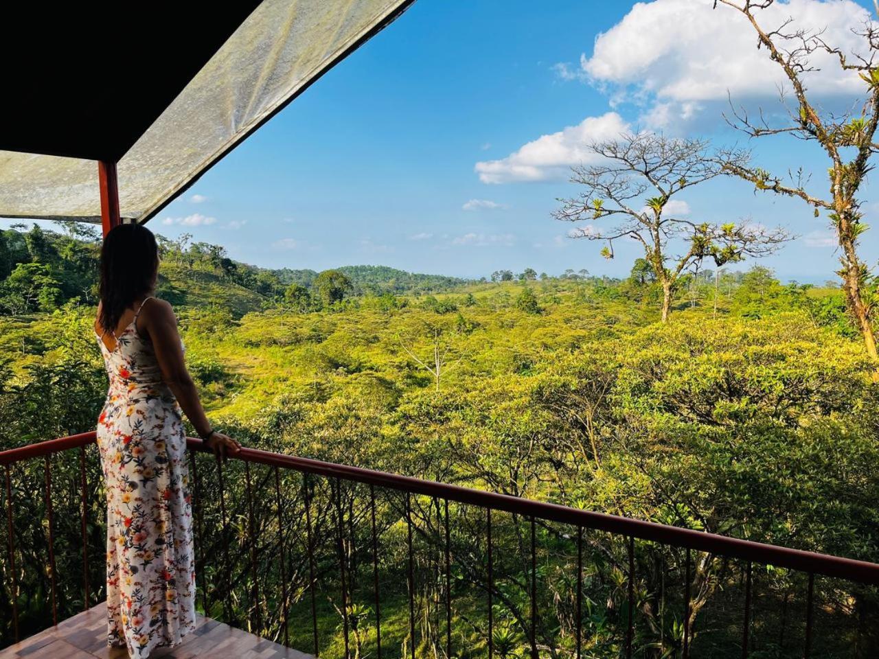 Garza Del Sol Glamping Rio Celeste Buganvilia Exteriör bild